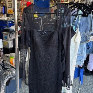 Elegant Black Mesh Dress